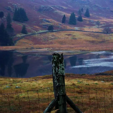 Дом отдыха Laurel *